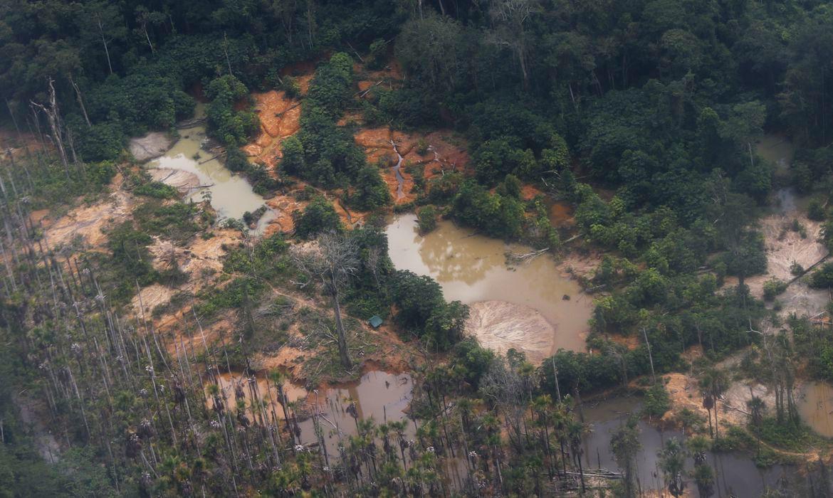 Local equivale ao tamanho de 118 campos de futebol, diz PF (Fernando Frazão/Agência Brasil)