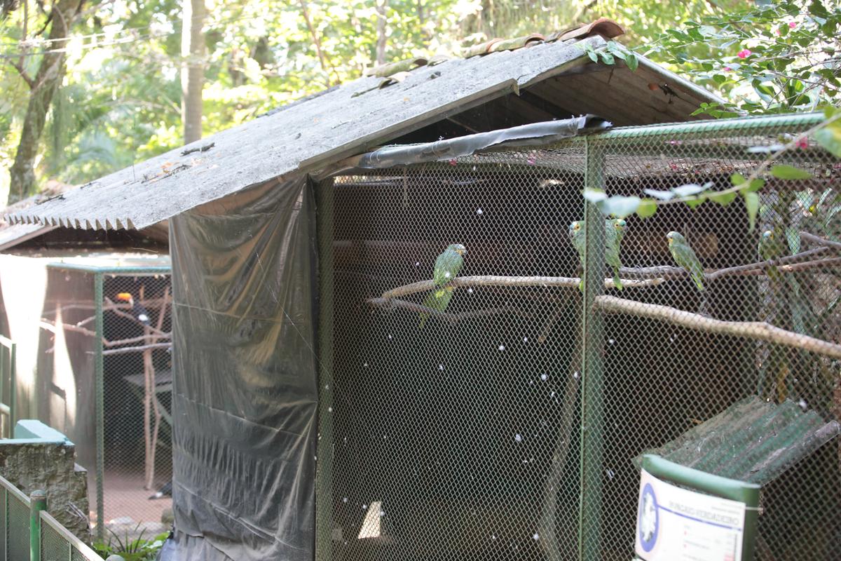 Lonas plásticas pretas foram instaladas e permanecerão até a chegada do período de calor; temperatura corporal das aves gira em torno de 42˚C, por isso precisam de reforço alimentar durante o outono e o inverno (Rodrigo Zanotto)