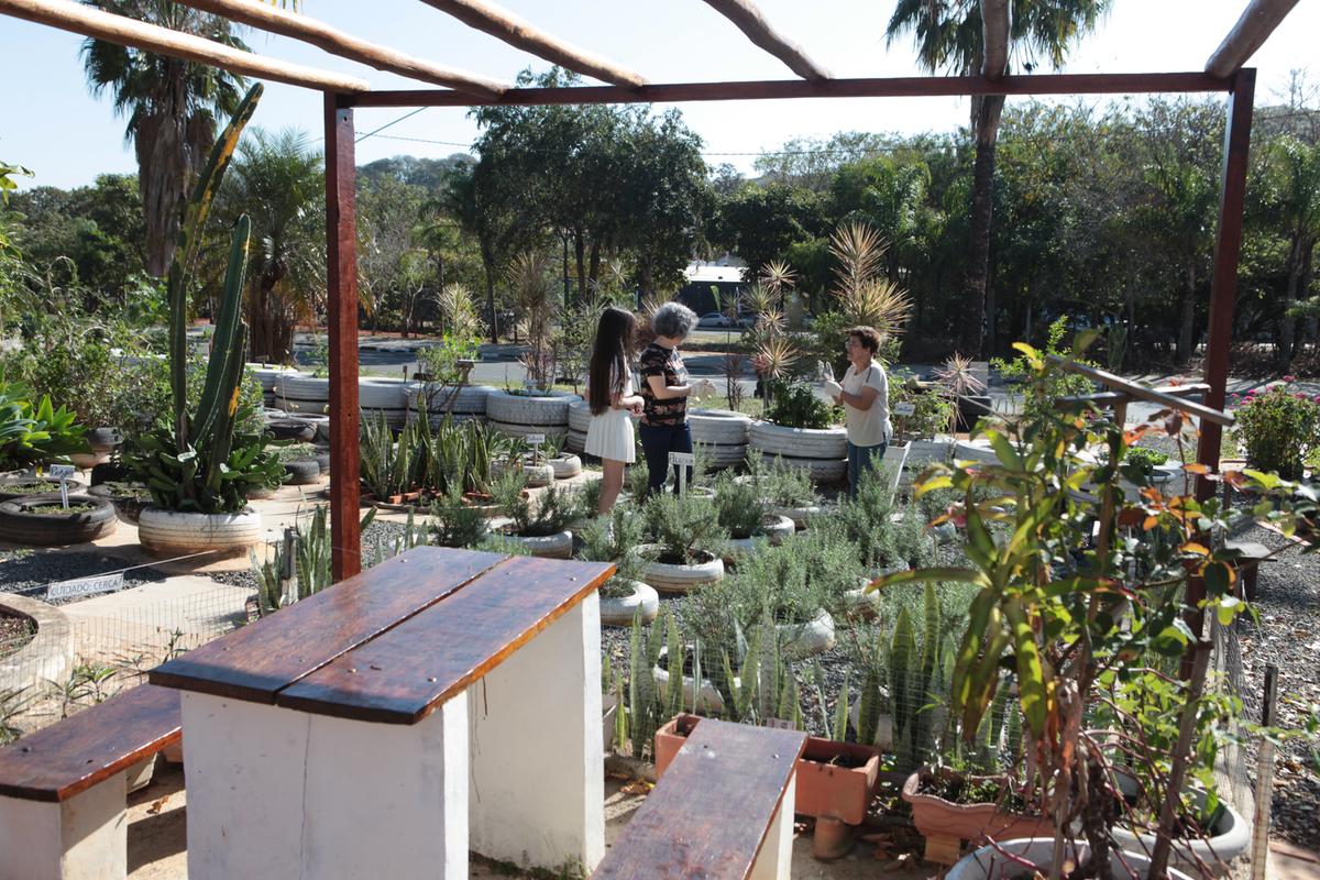 Além de produzir ervas aromáticas e plantas medicinais e comestíveis, a horta comunitária do bairro Nova Europa conta com pergolado, bancos e mesa , que servem ao descanso dos visitantes (Rodrigo Zanotto)