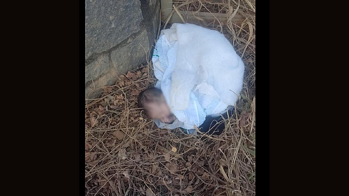 Recém-nascido encontrado em Pedreira (Divulgação)