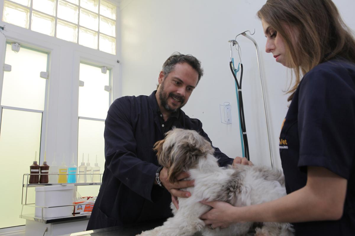 Daniel Blazko, médico veterinário há 13 anos, contou que já tinha experiência em cuidar de animais graças à formação em Biologia; ele relatou que mudou de profissão e se especializou na veterinária por causa de sua atuação anterior em prol da vida dos animais (Rodrigo Zanotto)