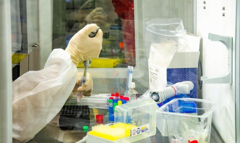  Covid-19: Fiocruz amplia capacidade nacional de testagem
     ( Itamar Crispim/Fiocruz)