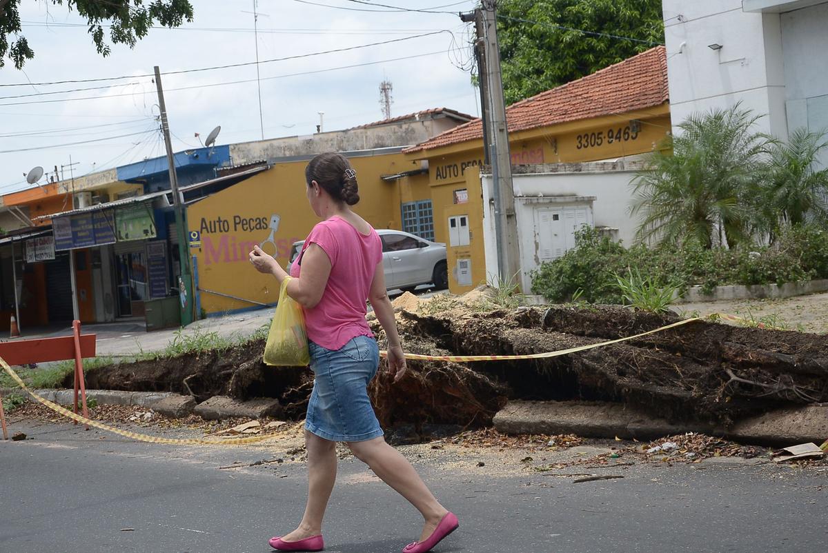 Administração municipal revelou que mais de mil árvores caíram desde o início do ano; uma das ocorrências no último domingo foi na Avenida Ana Beatriz Bierrembach (foto), na Vila Mimosa (Alessandro Torres)