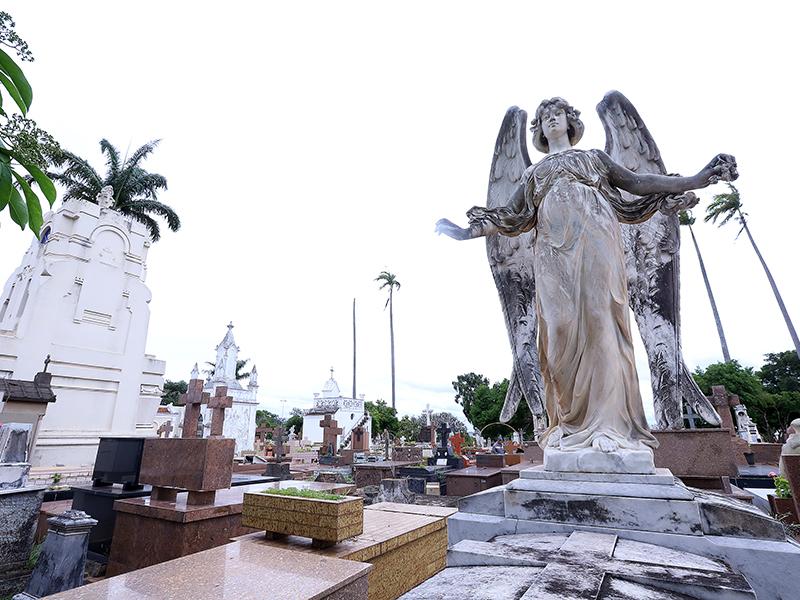 Cemitério de Campinas (Arquivo PMC)