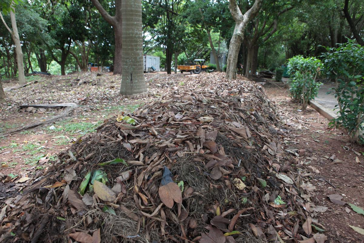 Entre as iniciativas promovidas pela companhia está a compostagem dos resíduos orgânicos gerados em suas dependências (Rodrigo Zanotto)