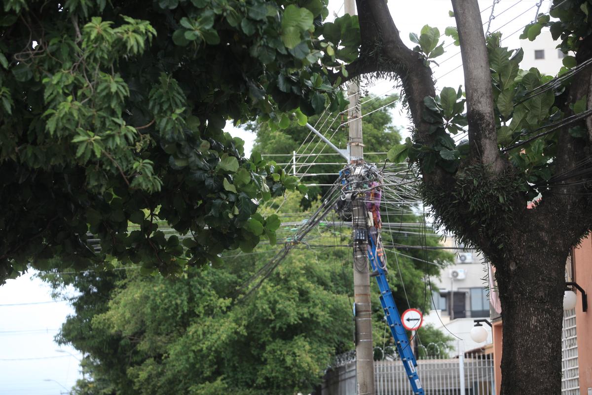 Prefeitura e CPFL Paulista assinarão um convênio para que a empresa possa remover, com autorização da Administração, árvores condenadas e abaixo da fiação elétrica (Kamá Ribeiro)