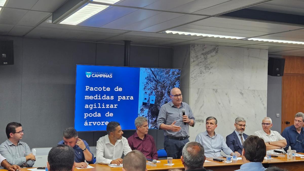 Prefeito Dário Saadi anunciou contratações para quadruplicar equipes de poda de árvores (Fernando Pacífico/ PMC)