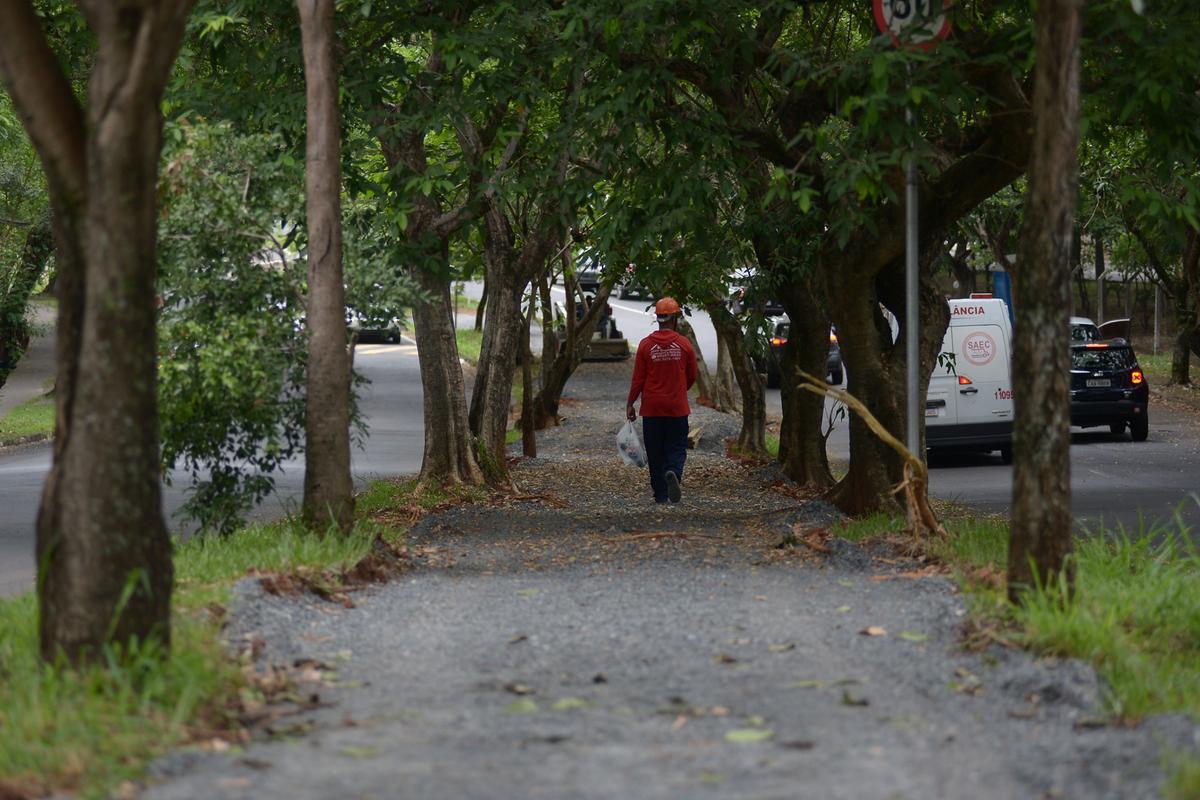 A futura ciclovia da região do Parque Prado vai ampliar o sistema cicloviário de Campinas, que soma atualmente 100 quilômetros de extensão (Alessandro Torres)