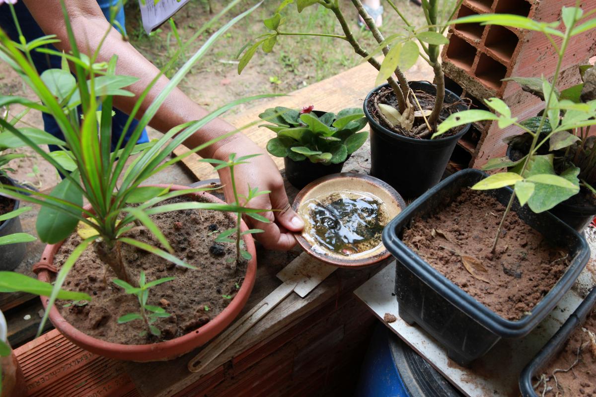 Moradores devem tomar cuidado com recipientes que podem se tornar criadouros do mosquito Aedes aegypti (Arquivo PMC)