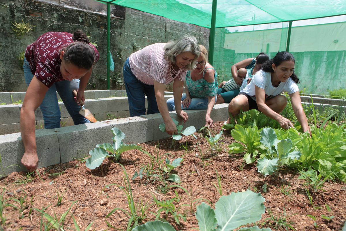 Inicialmente um clube de mães, o projeto ganhou nova dimensão e ajudou a conscientizar ambientalmente suas integrantes, que passaram a plantar mudas de árvores frutíferas; até hoje, todas as 30 que iniciaram a horta comunitária permanecem como participantes (Rodrigo Zanotto)