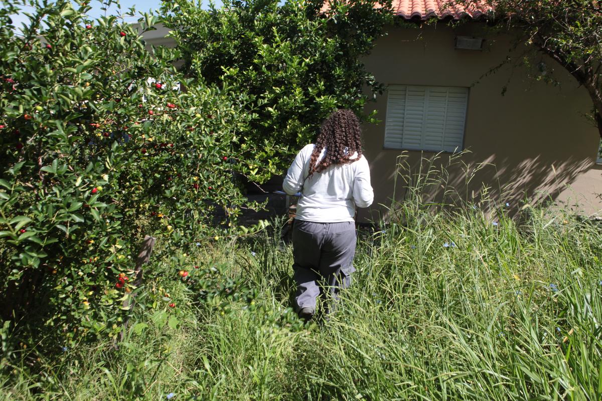 Os agentes que trabalham no combate à dengue são da empresa Impacto Controle de Pragas e usam uniforme formado por camiseta branca, com logo da empresa, e calça cinza; em caso de dúvidas, é possível ligar para o 156 e checar se a ação é oficial (Rodrigo Zanotto)