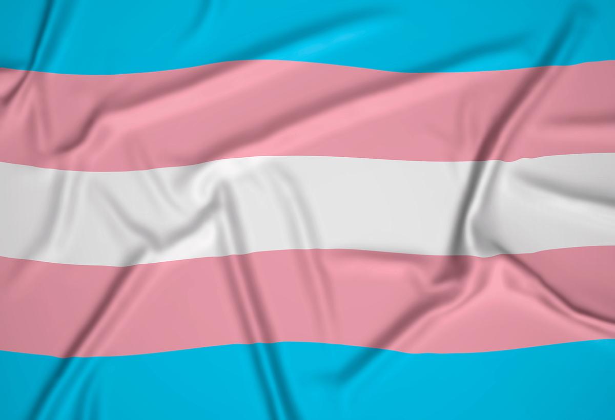 Secretaria Municipal de Cultura e Turismo, Campinas realiza a Segunda Semana da Visibilidade Trans (Freepik)