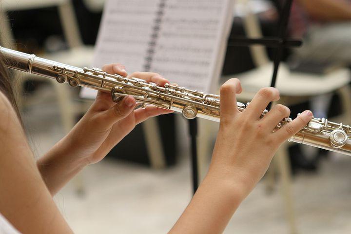 Projeto inclui aulas de flauta, violino, viola clássica, violoncelo, contrabaixo, trompete, trombone, saxofone, clarinete e percussão (Divulgação)