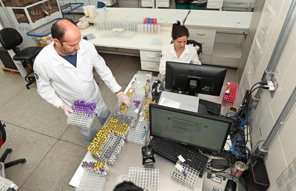 No Laboratório Municipal de Patologia Clínica de Campinas, local em que são feitos os exames das unidades da Secretaria de Saúde, a média diária de hemogramas que detectam a gravidade da doença dobrou de 2023 para fevereiro deste ano, saindo de 700 para 1,4 mil (Carlos Bassan)