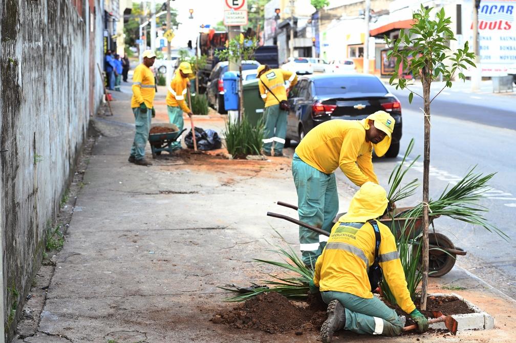 Campinas recebe selo Cidades Árvores do Mundo 2023 pela arborização urbana (Carlos Bassan/ PMC)