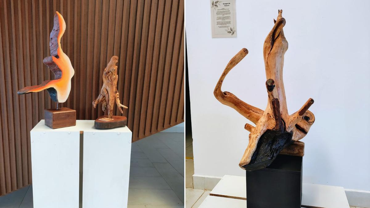 Peças em madeira, feitas a partir de troncos, galhos e descartes de poda, propõem a reflexão sobre a preservação ambiental (Cris Rick)