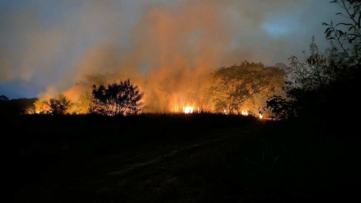 Imagens das chamas que avançavam na área do Instituto Biológico na noite de quarta-feira (Divulgação)