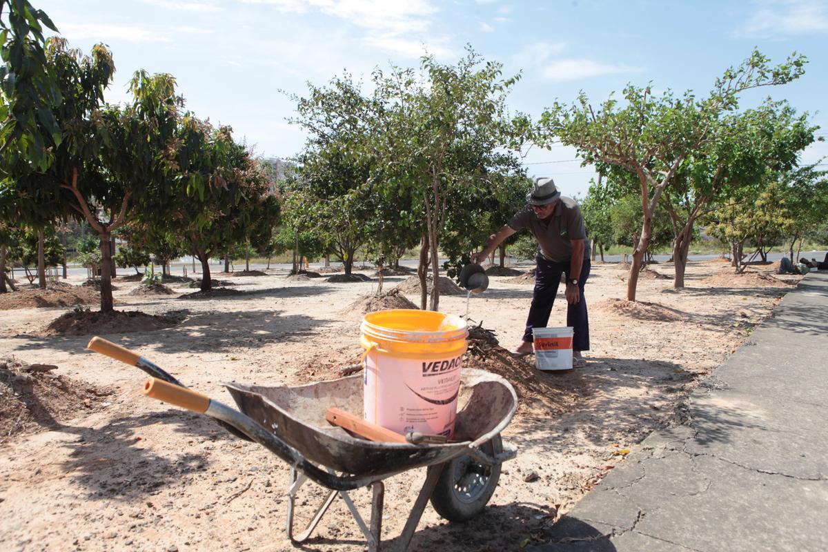 Waldomiro Bett, o ‘Seo Beto’, promoveu uma mudança radical na Praça Nair Roberto Gallani, no Parque Residencial Fazenda Roseira, em Campinas; o local que estava tomado pelo mato foi transformado em espaço repleto de árvores frutíferas à disposição da comunidade (Rodrigo Zanotto)