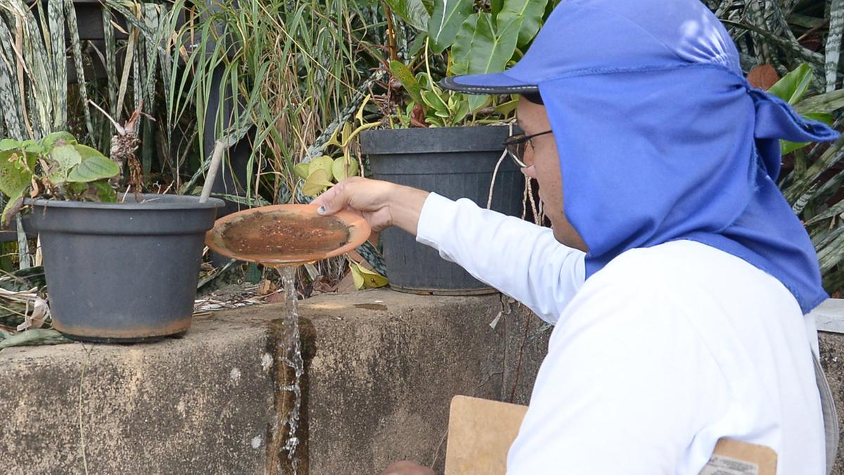 Com mais de 80 mil infecções confirmadas, Campinas realiza hoje o 15° mutirão para prevenção e combate à dengue na região do São Bernardo 