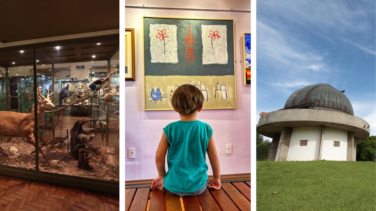 A programação da Semana envolve o Museu da Imagem e do Som (MIS), o Museu de Arte Contemporânea de Campinas (MACC), o Museu de História Natural, o Observatório Municipal, o Museu da Cidade (Casa de Vidro) e o Museu do Esporte (Divulgação)