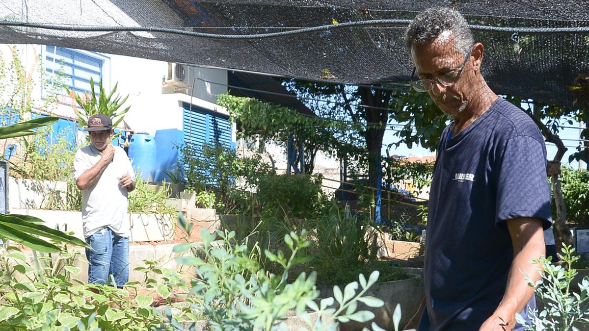 O pedreiro Mário João Júlio e o pintor Sérgio Aparecido dos Santos, ambos pacientes do CS São Domingos, conheceram o canteiro de planta medicinal existente na unidade básica de saúde e aprovaram o projeto (Alessandro Torres)