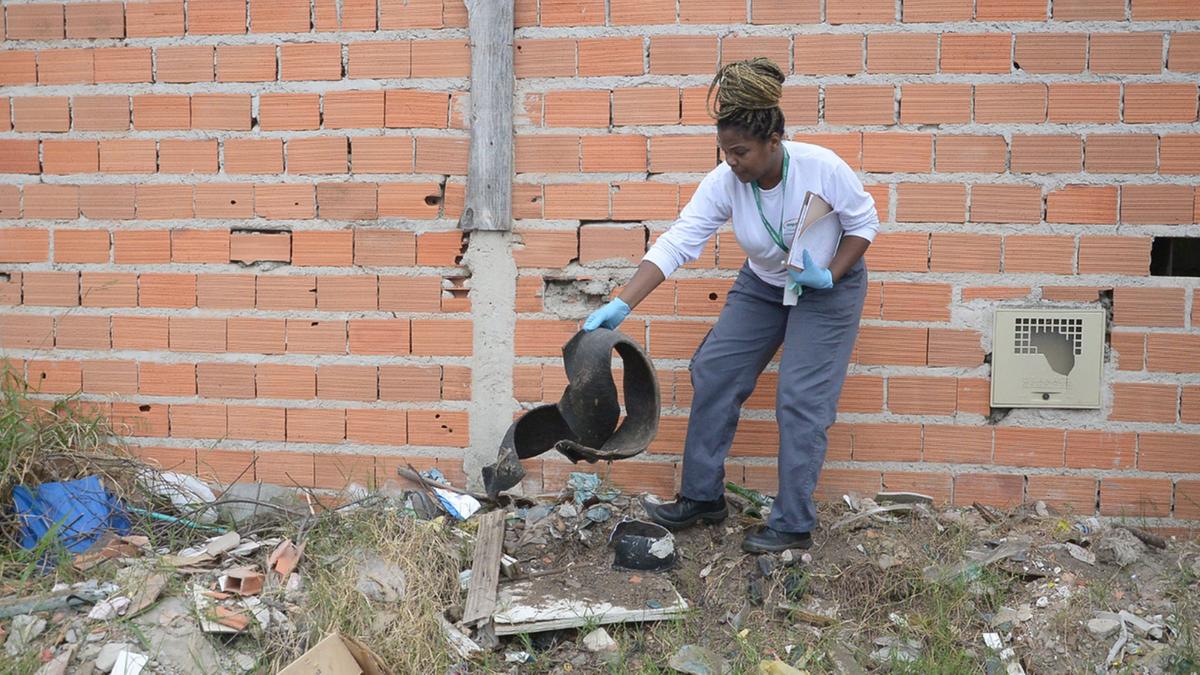 Bosque, Centro, Cambuí e Ponte Preta são alguns dos bairros que serão visitados por agentes de combate à dengue e voluntários amanhã, na 17ª edição do mutirão de combate ao Aedes aegypti (Alessandro Torres)