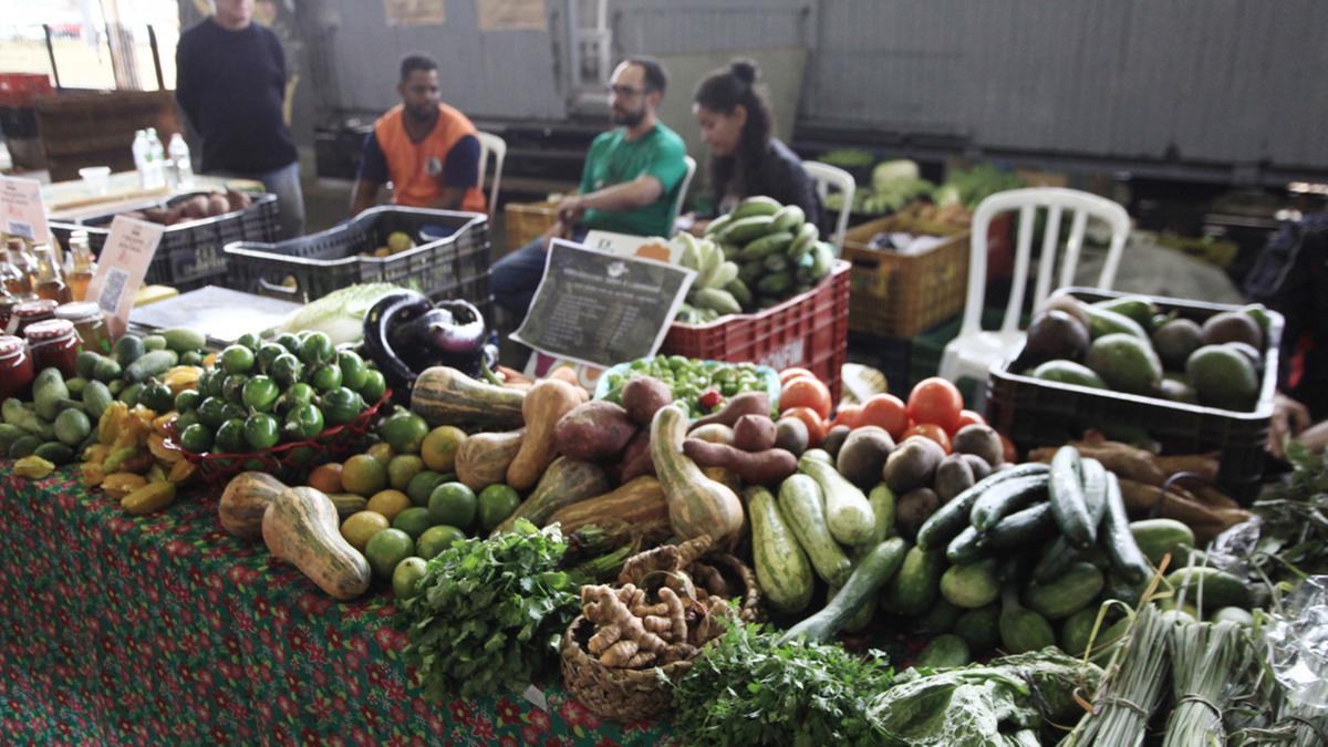 Hortifrútis são produzidos por assentados do MST das regiões de Campinas e São Paulo; evento que vai até as 18h de domingo também conta com produtos industrializados feitos por cooperativas e associações (Kamá Ribeiro)