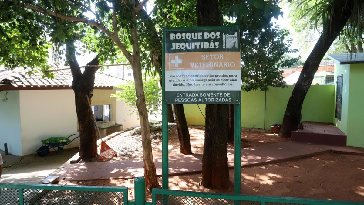 Setor veterinário do bosque dos Jequitibás (Fernanda Sunega)
