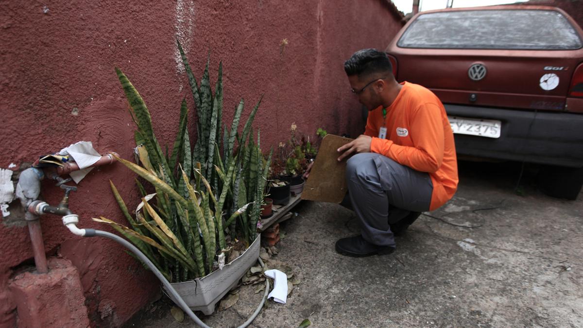 Estatísticas das secretarias municipal e estadual de Saúde mostram que 80% dos criadouros do mosquito Aedes aegypti estão nas residências; é necessário evitar acúmulo de água que possa servir de criadouro, principalmente em latas, pneus, pratos de plantas, lajes e calhas (Kamá Ribeiro)