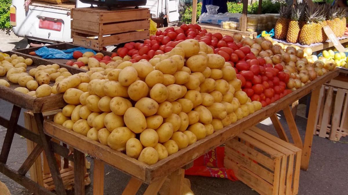 Aumentos da batata inglesa, do leite longa vida, do arroz e do tomate puxaram alta do grupo Alimentação e Bebidas (Helena Pontes/Agência IBGE Notícias)