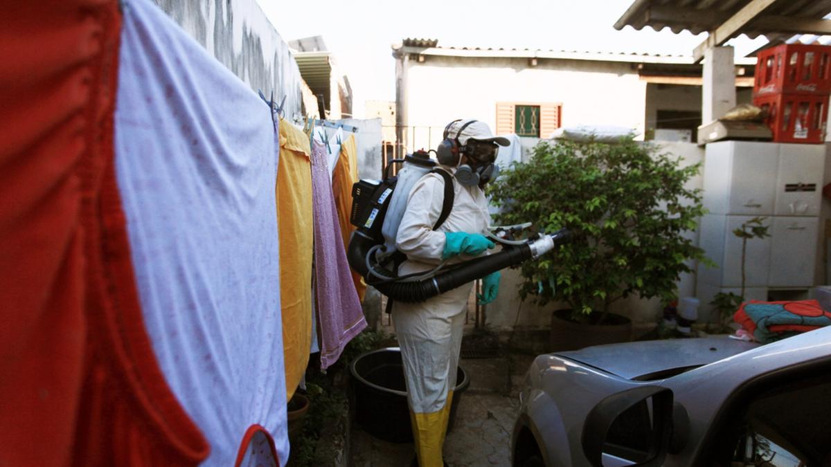 Agentes de combate à dengue têm trabalhado incessantemente na busca para identificar criadouros do mosquito Aedes aegypti, vetor da doença, e eliminá-los (Kamá Ribeiro)