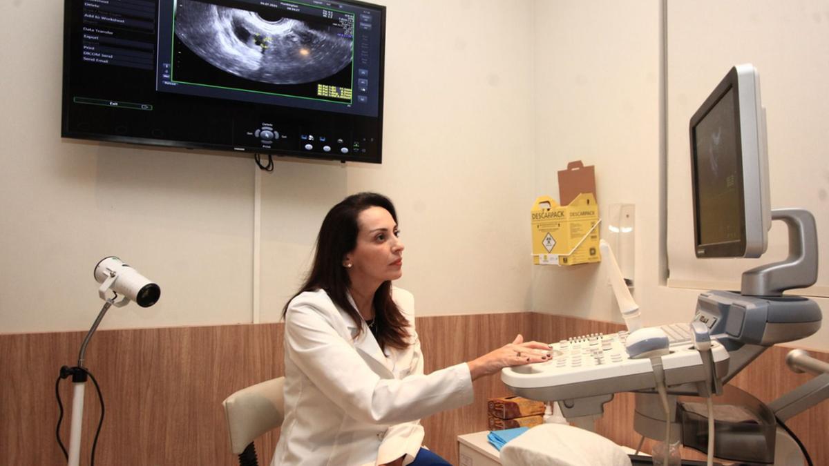 Carolina de Andrade Melo, ginecologista obstetra especialista em reprodução assistida, reforça que as justificativas dos pacientes são variadas, além das condições mais favoráveis durante a juventude: 'É um procedimento que veio para melhorar a vida das mulheres, que têm um 'prazo de validade'. Com o passar dos anos, diminui tanto a quantidade quanto a qualidade dos óvulos, sobretudo a partir dos 35 anos' (Kamá Ribeiro)