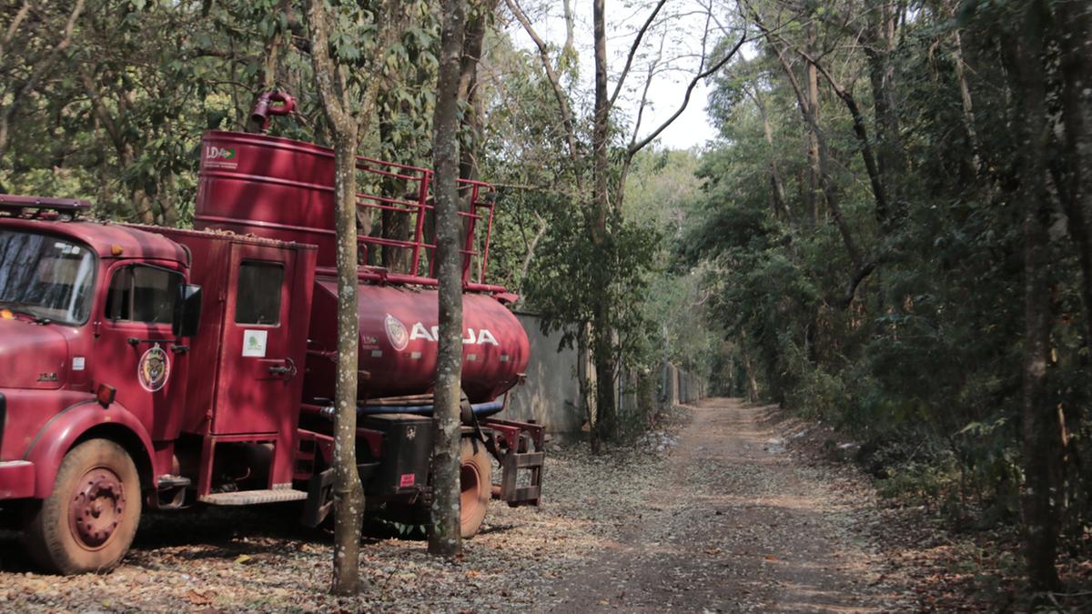 Caminhão da brigada de incêndio da Mata de Santa Genebra, no distrito de Barão Geraldo, em Campinas: o Departamento de Parques e Jardins, ligado à Secretaria Municipal de
Serviços Públicos, afirmou que a manutenção nos parques é regular e os cuidados e a atenção para evitar queimadas nessas áreas são permanentes (Denny Cesare)
