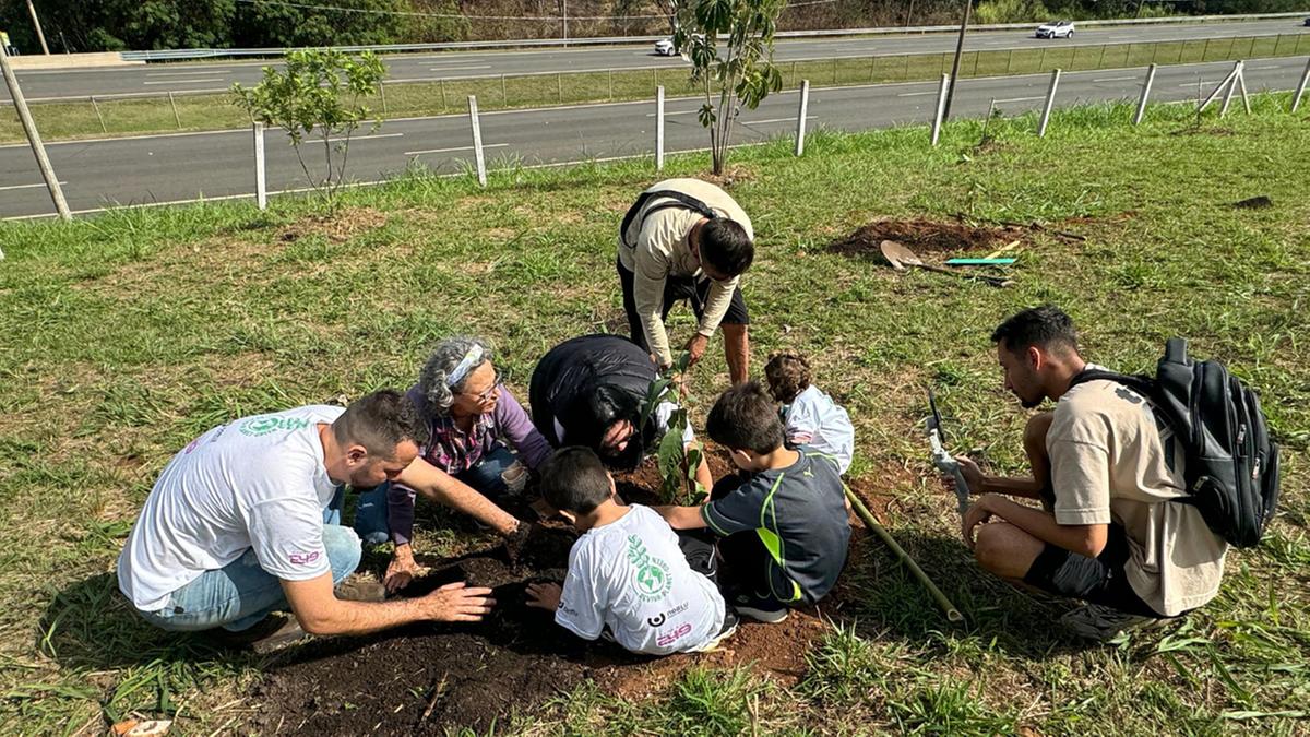 Iniciativa da Câmara Municipal de Campinas em parceria com o projeto Reviva Planet Green já plantou mudas de pitanga, grumixama, pau-viola, jaracatiá e araucária; todas foram identificadas com QR Code e serão monitoradas ao longo de 24 meses (Divulgaçã)