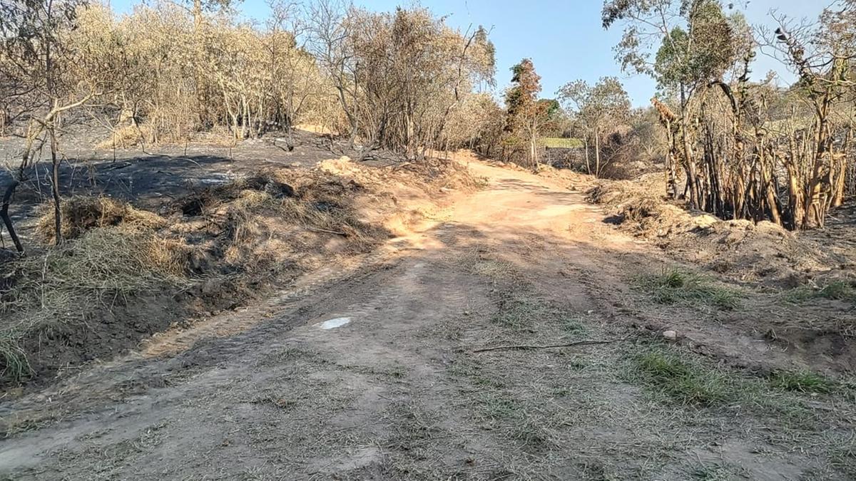 Subprefeitura de Joaquim Egídio abriu estradas de terra para que veículos de combate ao fogo possam passar (Divulgação)