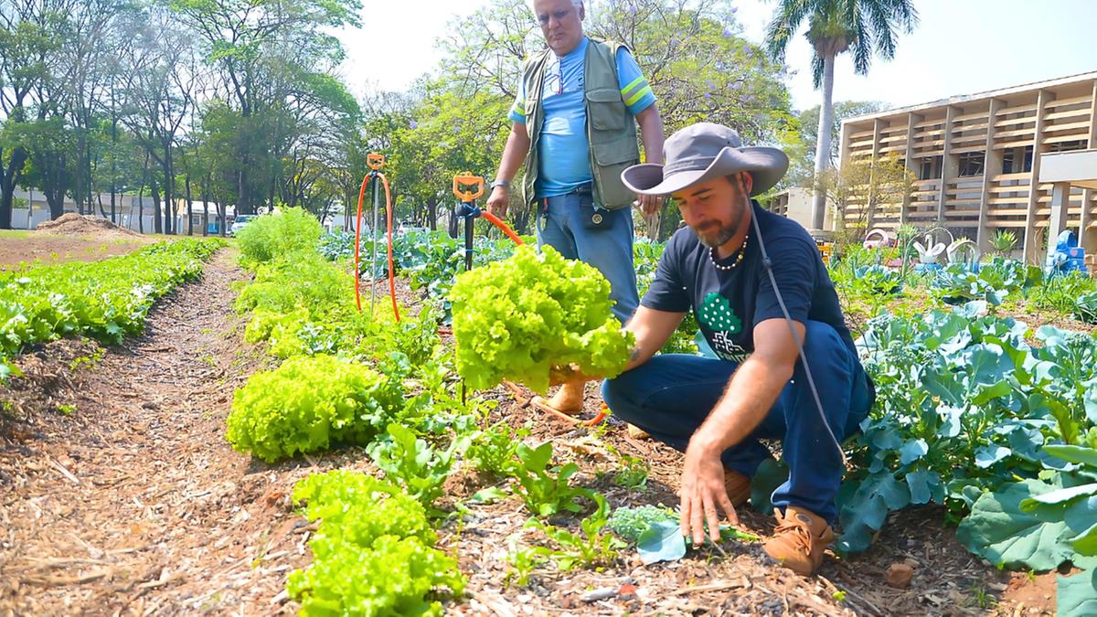 Idealizador e coordenador das iniciativas voltadas à recuperação e preservação de recursos naturais, o secretário de Meio Ambiente de Nova Odessa, Matheus Grolla Martins, revelou que a ação que acontece em uma área no bairro Terra Nova servirá de modelo para que o mesmo seja aplicado em outras regiões da cidade (Alessandro Torres)