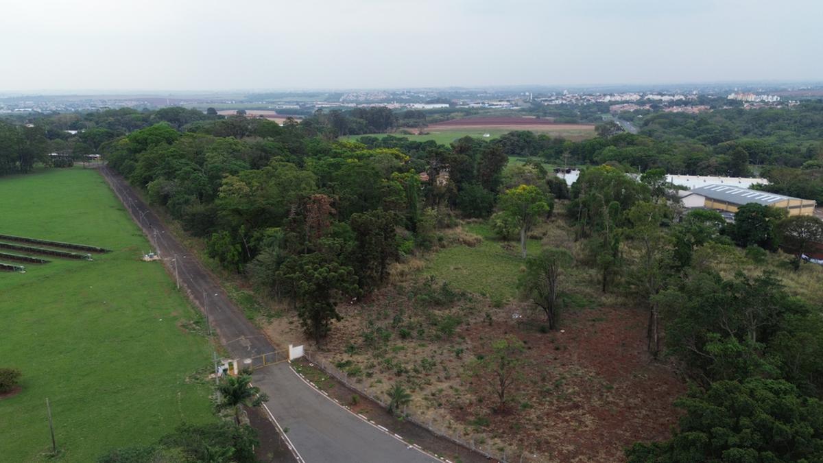 Cafeicultura é uma das principais atividades agrícolas do país, com uma produção no ano passado de 55,1 milhões de sacas, crescimento de 8,2% em comparação ao ciclo de 2022; um dos temores é que eventual venda da área de sete hectares possa prejudicar pesquisas que estão em andamento (Alessandro Torres)