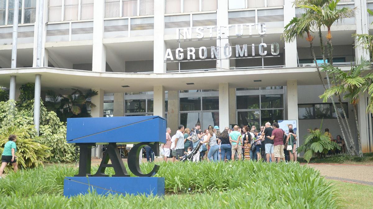 Opiniões foram coletadas durante o evento APTA Portas Abertas, que proporcionou à população conhecer um pouco sobre os trabalhos desenvolvidos pelo instituto; gleba alvo de especulação possui exemplares únicos de diversas espécies de café (Alessandro Torres)