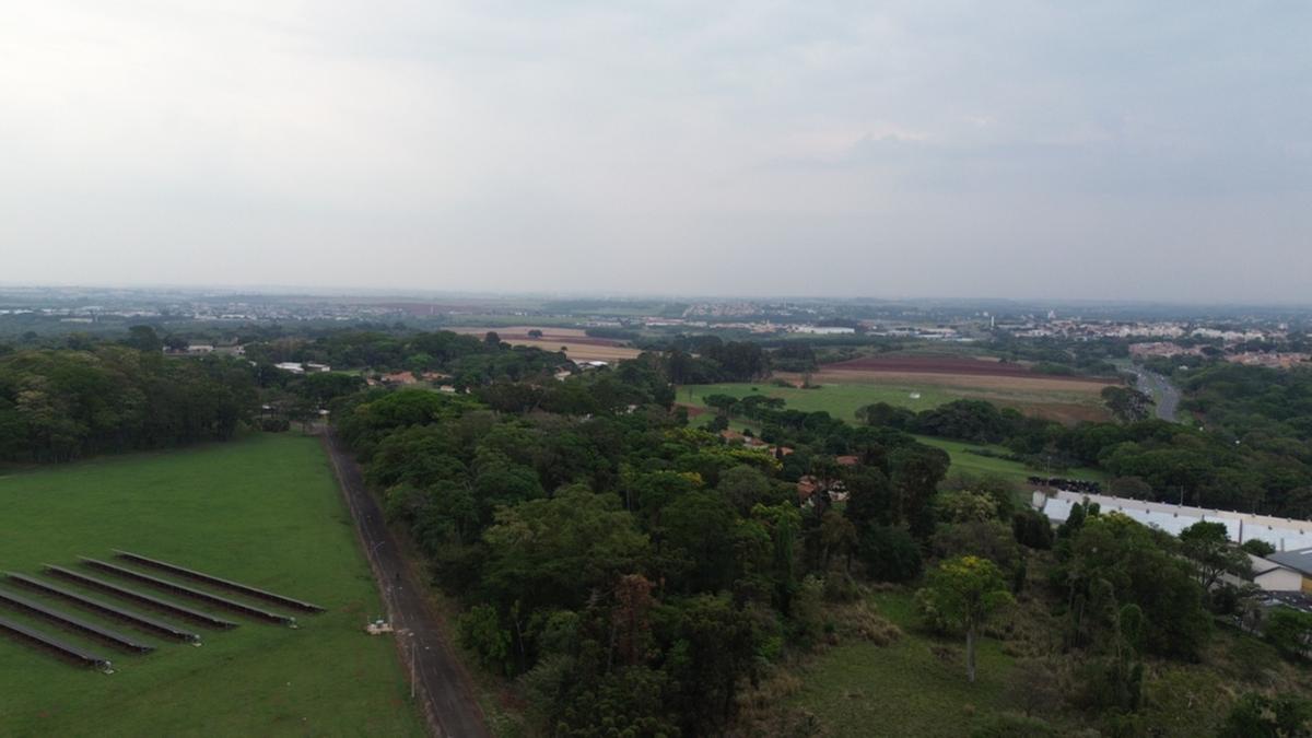 Subsecretário de Agricultura e Abastecimento do Estado de São Paulo, Orlando Melo de Castro, afirmou que estudos estão em fase inicial; possibilidade de comercialização envolve uma gleba da Fazenda Santa Elisa que abriga exemplares únicos de diversas espécies de café (Alessandro Torres)