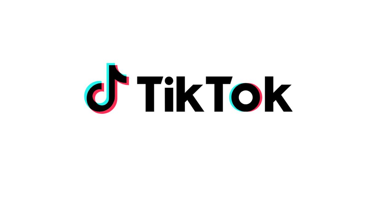  (Reprodução Tiktok)