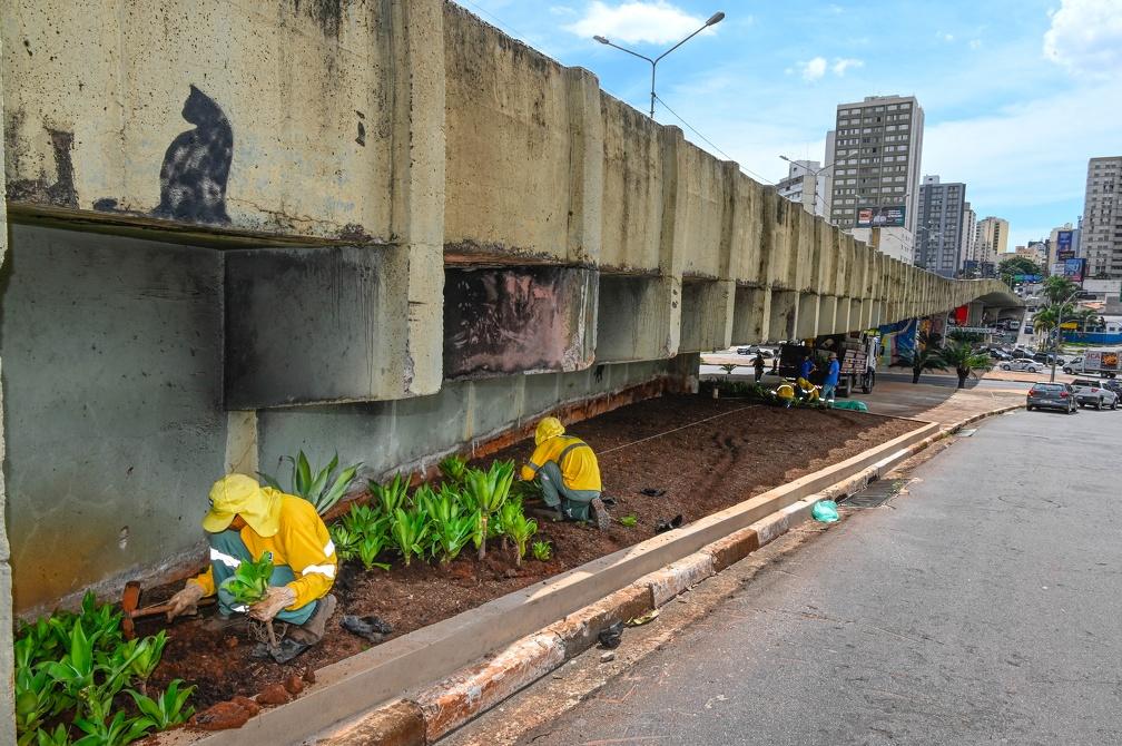 Novo paisagismo tornará o local mais agradável (Rogério Capela)