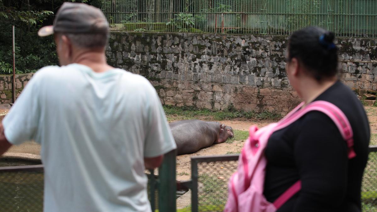 Com a reabertura dos parques públicos ontem, como o Bosque dos Jequitibás, muitas pessoas aproveitaram para curtir o dia em contato com a natureza (Rodrigo Zanotto)