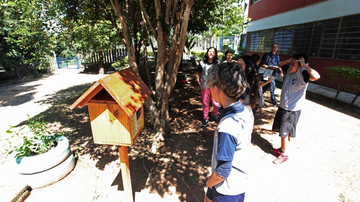 Instalação do meliponário didático aconteceu em janeiro do ano passado, quando Juvenal Alves Pereira, professor especialista em currículo da rede estadual, convidou a escola para o projeto envolvendo as abelhas sem ferrão (Rodrigo Zanotto)