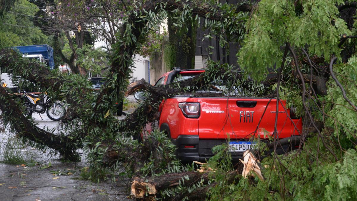 Defesa Civil confirmou 173 quedas de árvores, 78 quedas de galhos, 102 alagamentos de imóveis/vias e 34 quedas de muro: “Estamos tendo um verão bastante complicado (...) e a região de Campinas tem sido bastante afetada pelas chuvas”, destacou o diretor Sidnei Furtado (Alessandro Torres)