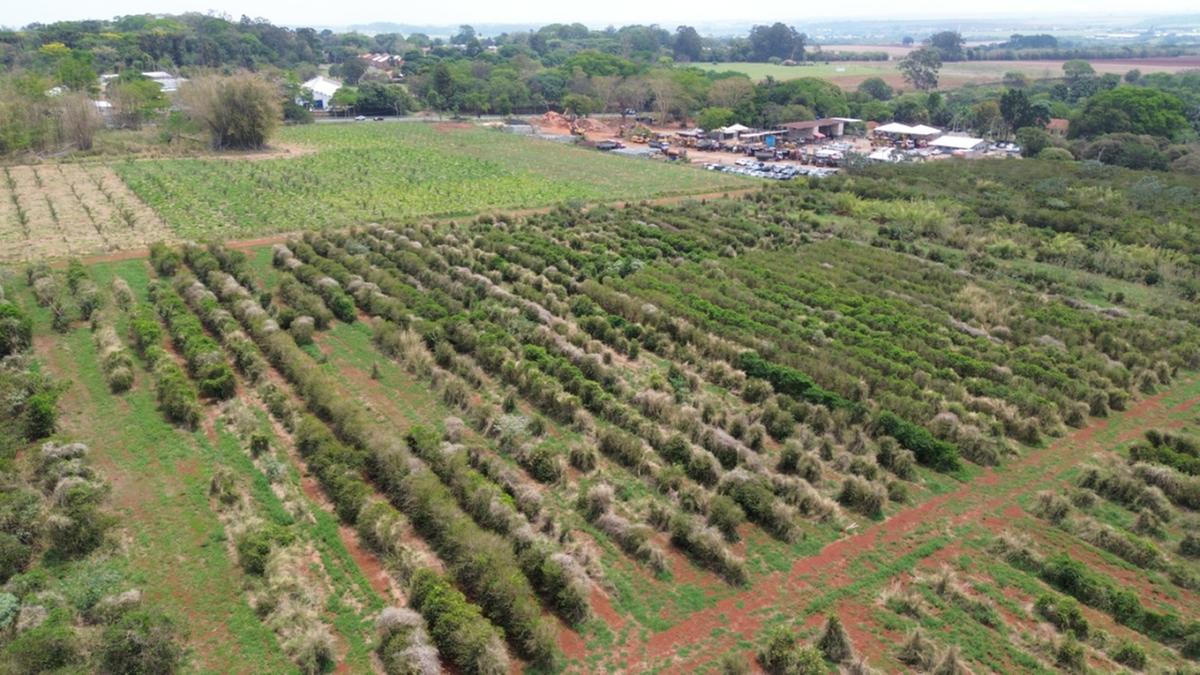 O interesse em alienar parte da Fazenda Santa Elisa, pertencente ao Instituto Agronômico de Campinas (IAC), gerou repercussão negativa e grande mobilização (Alessandro Torres)