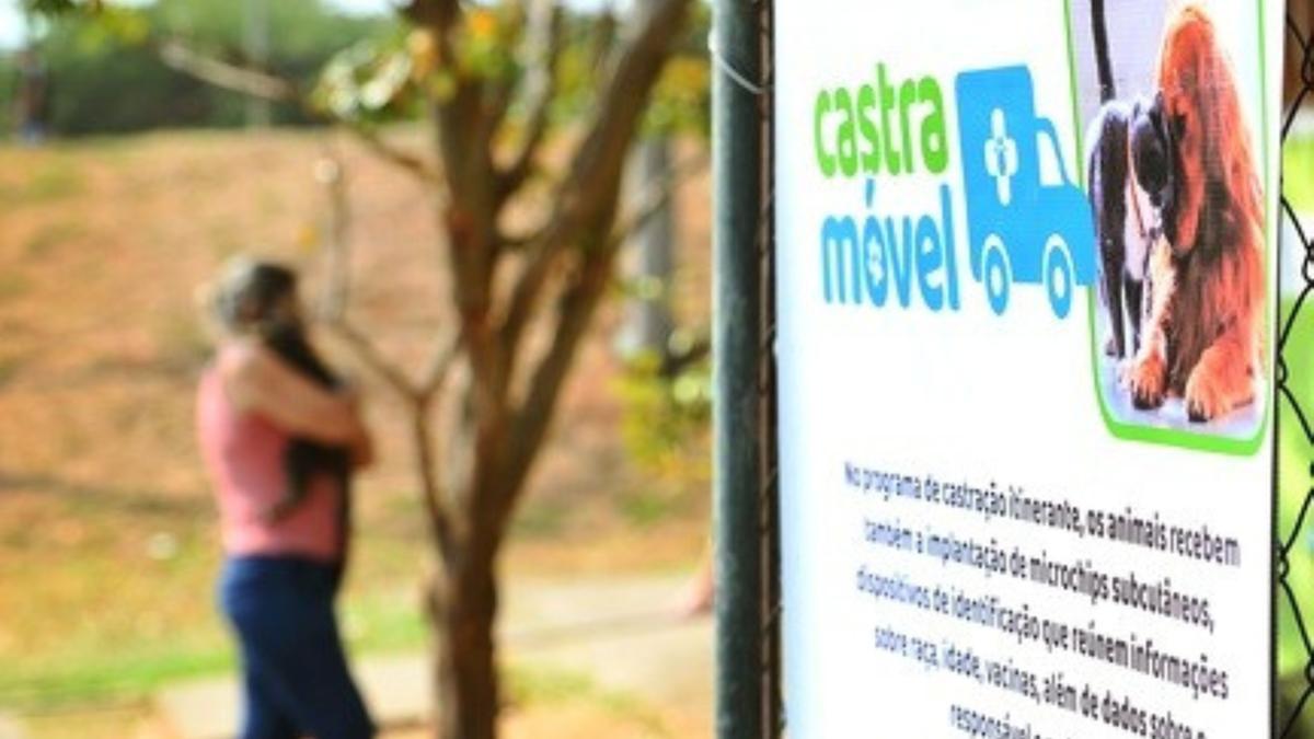 Tutores precisam ter mais de 18 anos e apresentar RG, CPF e comprovante de endereço para garantir uma das vagas (Carlos Bassan)