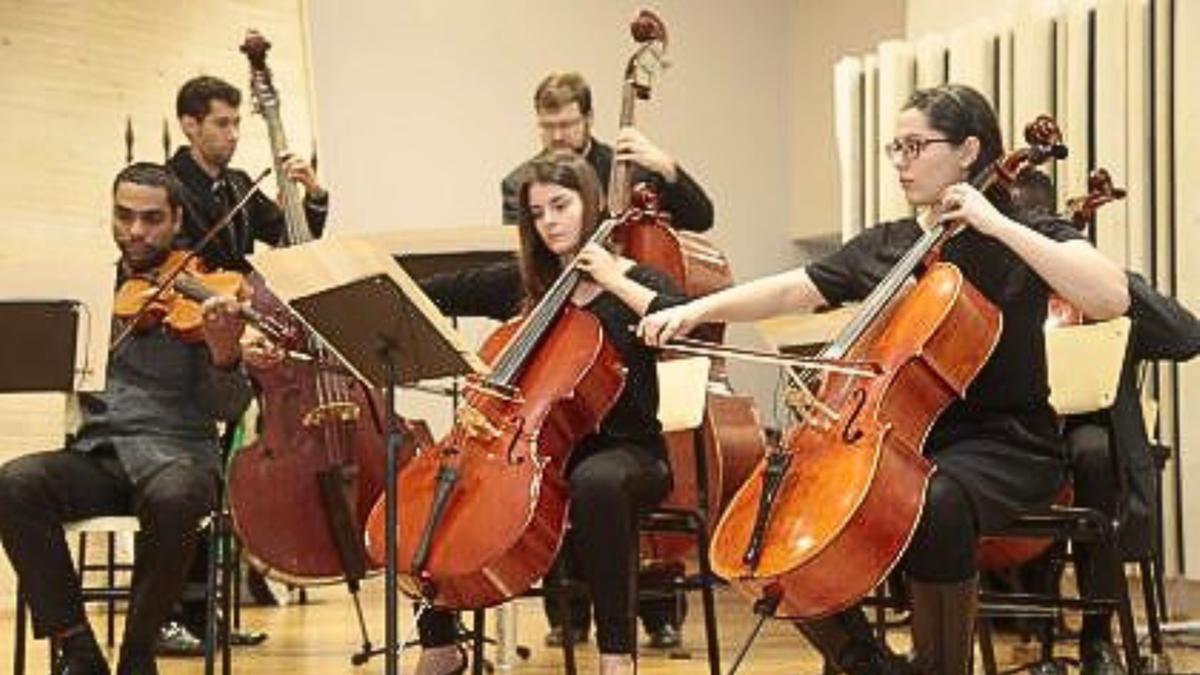 Grupo de Música de Câmara, sob a regência do maestro Moisés Canto, apresentará repertório com temas de filmes, música erudita, pop e MPB (Divulgação)