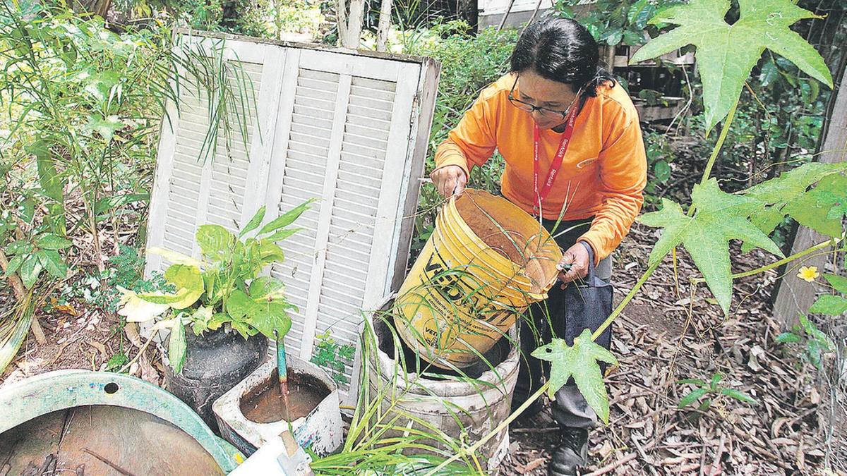 Prefeitura informou que retirou 105 toneladas de resíduos nos bairros que fazem parte da área de referência do CS São Marcos; as mesmas recomendações de prevenção contra a dengue se aplicam à chikungunya, como eliminar qualquer acúmulo de água que possa servir de criadouro, principalmente em latas, pneus, pratos de plantas, lajes e calhas (Rodrigo Zanotto)