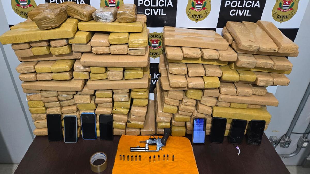 Delegacia de Investigações Gerais de Americana apreendeu 190,8 quilos de maconha (Divulgação DIG Americana)