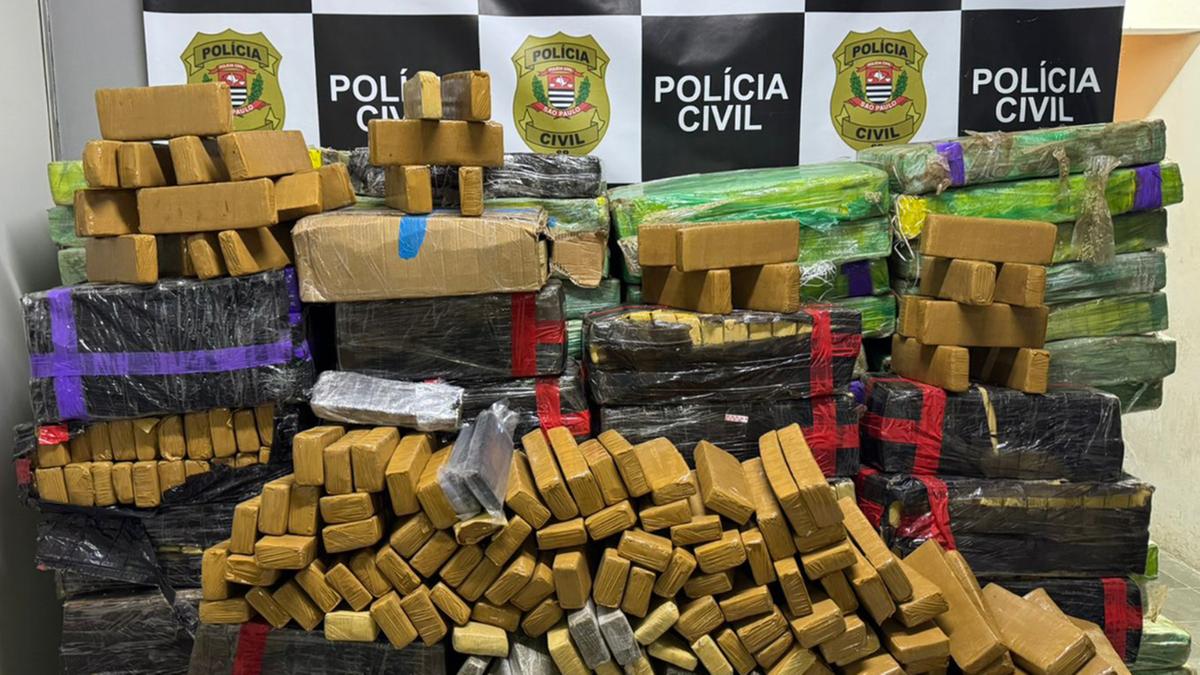 Os policiais descobriram a droga com base em informações coletadas em investigações anteriores referentes a consórcios de traficantes (Divulgação Dise Campinas)